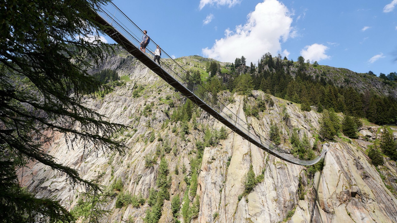 Puente colgante Aspi-Titter