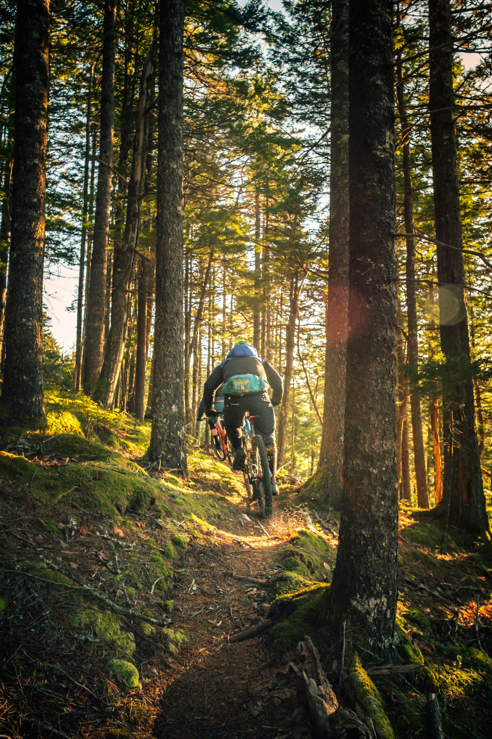 Bike Park Bellwald