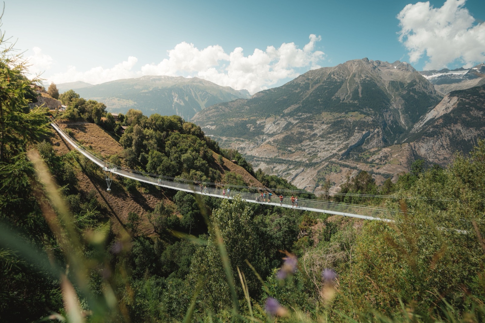 Puente colgante sobre el Milibach