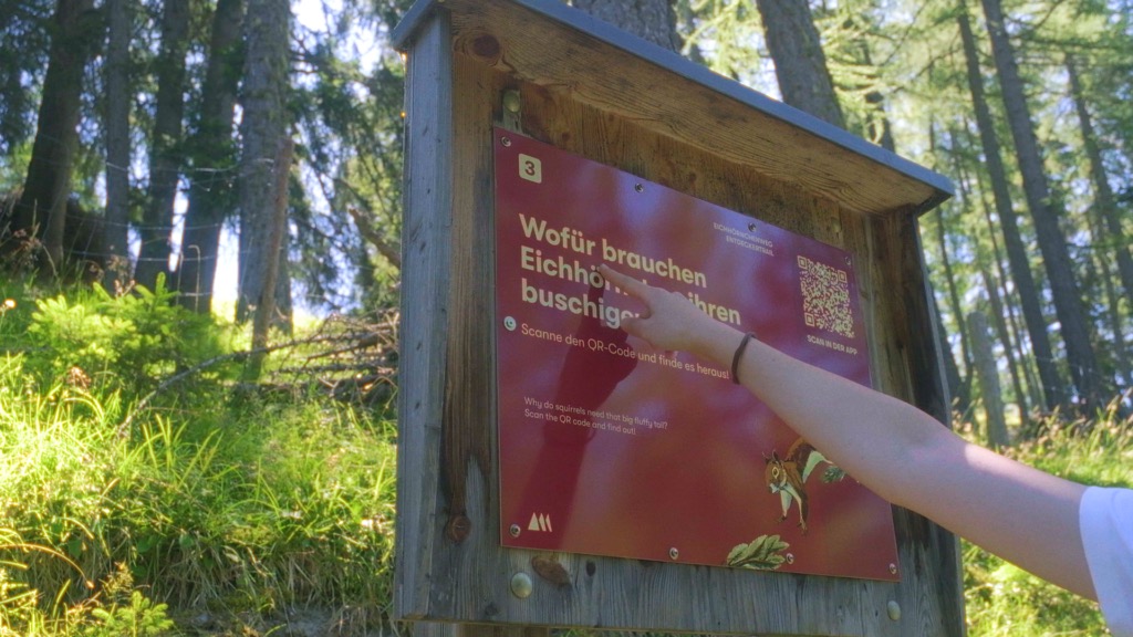 Birkenlehrpfad y Eichhörnchenweg