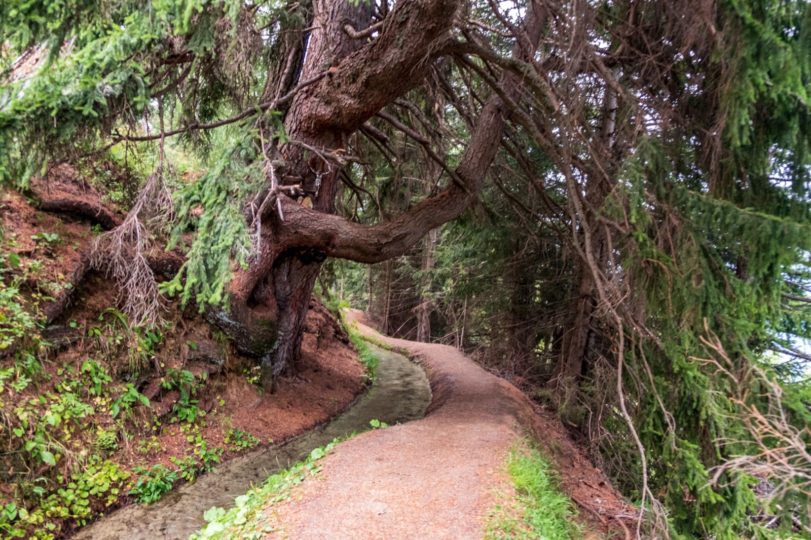 Circuito panorámico Bergwasser
