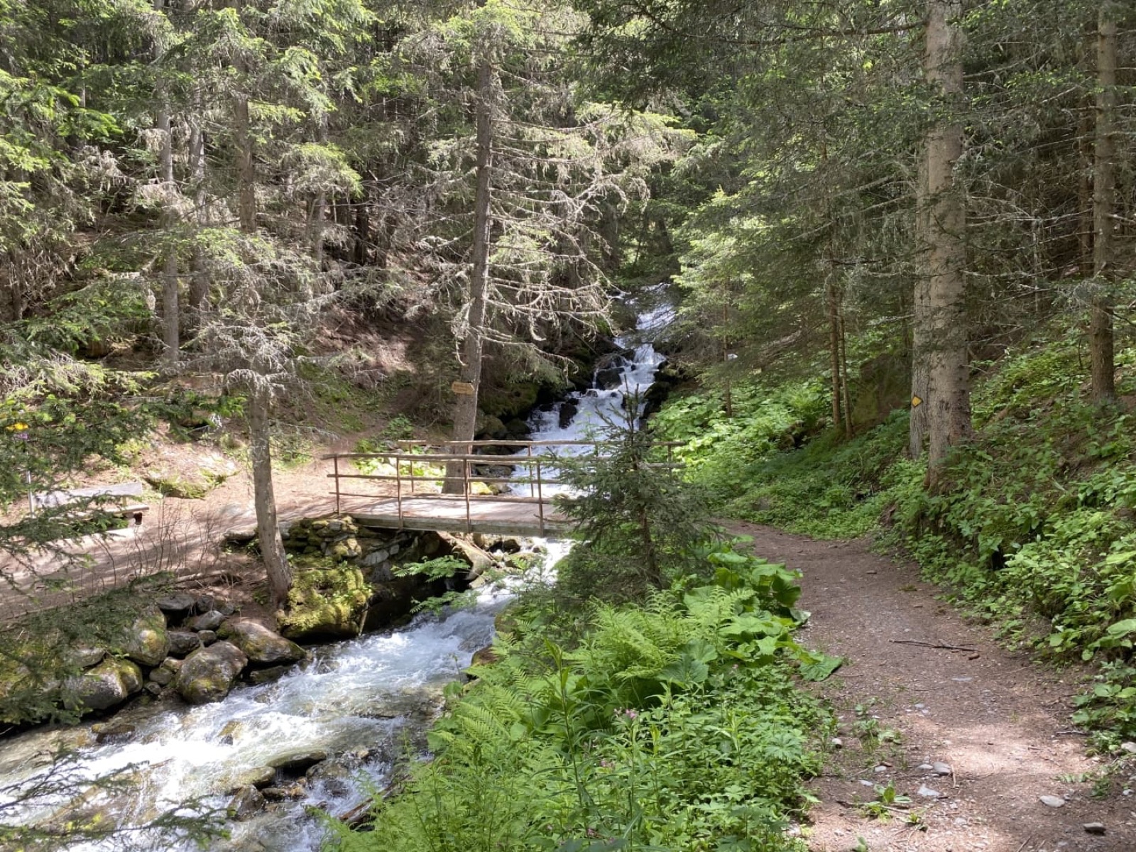 Ruta circular por la Eischollalp