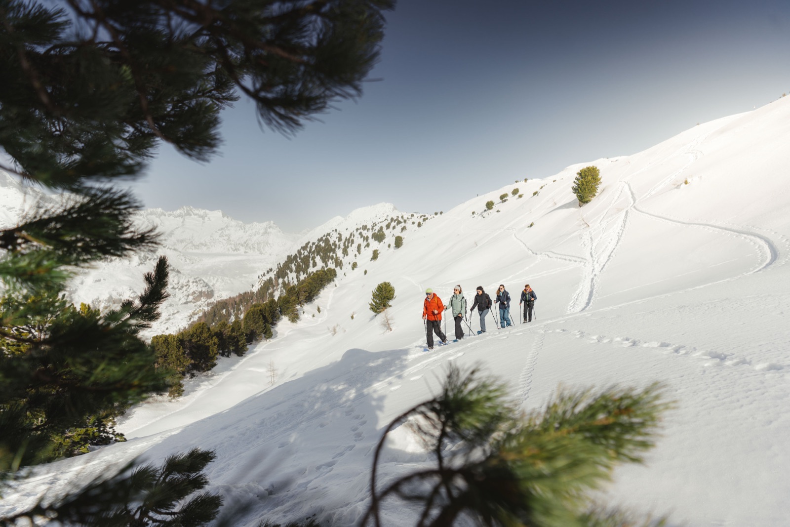 Senderismo invernal por el bosque de Aletsch